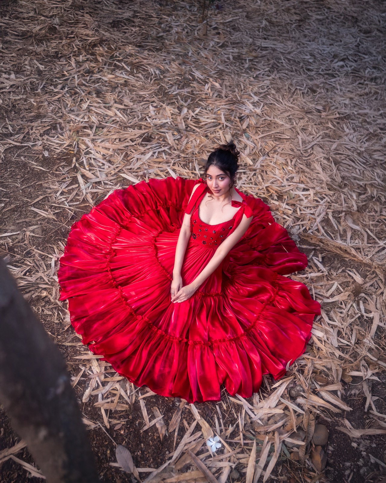 Peony Tiers — red tiered ball gown, skirt fanned out, photographed from above in a bamboo grove